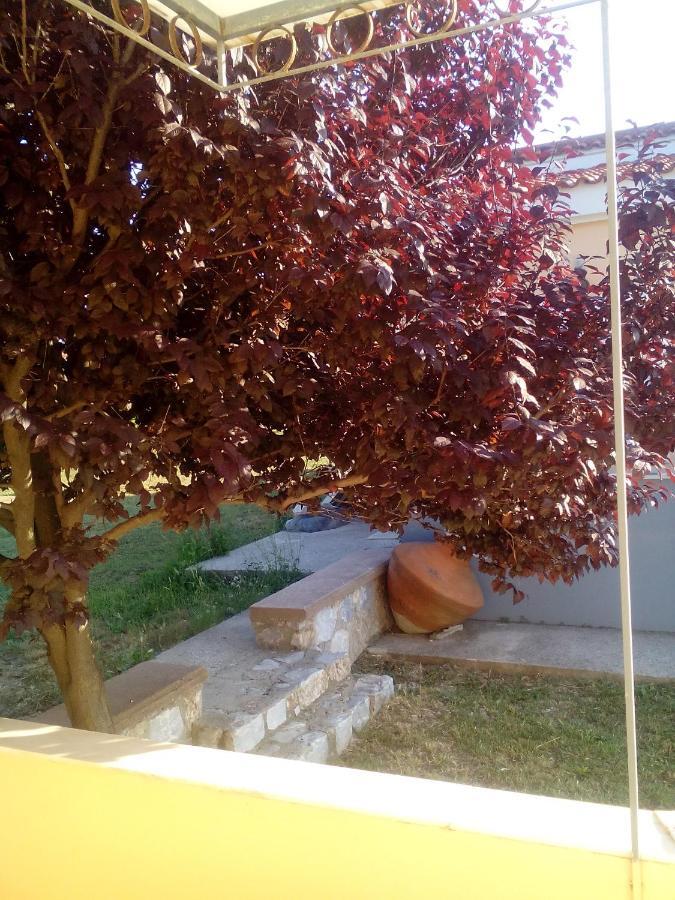 Studios Στουσ Πυργουσ Θερμησ Mytilíni Exteriér fotografie